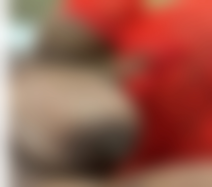 Escorts West Midlands Birmingham - Photos for Mature chocolate delight.